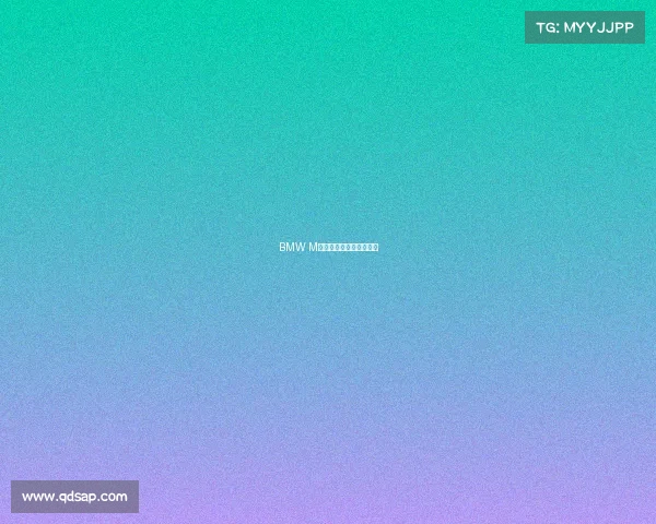 BMW M带你感受极致驾趣新世代